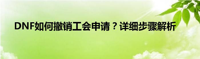 DNF如何撤销工会申请？详细步骤解析