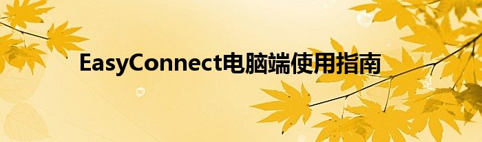 EasyConnect电脑端使用指南