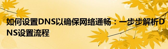 如何设置DNS以确保网络通畅：一步步解析DNS设置流程