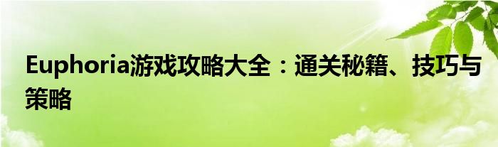 Euphoria游戏攻略大全：通关秘籍、技巧与策略