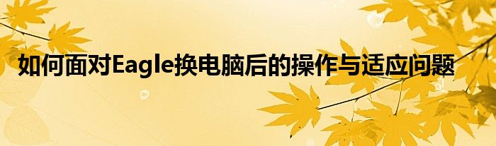 如何面对Eagle换电脑后的操作与适应问题