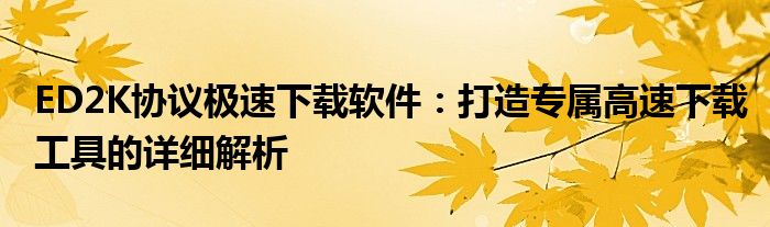 ED2K协议极速下载软件：打造专属高速下载工具的详细解析