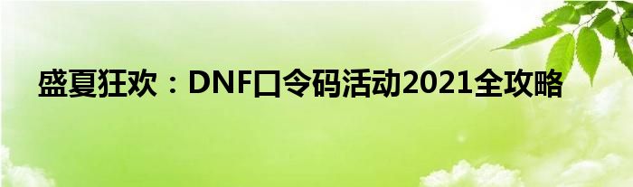 盛夏狂欢：DNF口令码活动2021全攻略