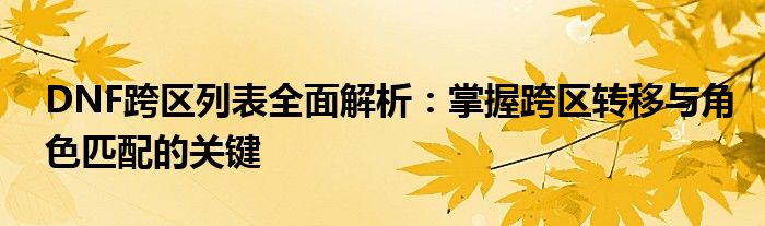 DNF跨区列表全面解析：掌握跨区转移与角色匹配的关键