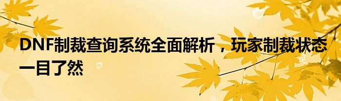 DNF制裁查询系统全面解析，玩家制裁状态一目了然