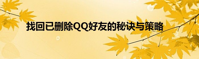 找回已删除QQ好友的秘诀与策略