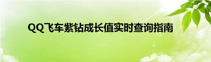 QQ飞车紫钻成长值实时查询指南