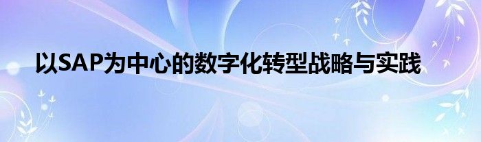 以SAP为中心的数字化转型战略与实践