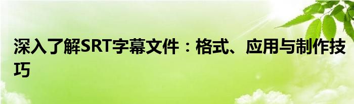 深入了解SRT字幕文件：格式、应用与制作技巧