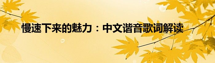 慢速下来的魅力：中文谐音歌词解读