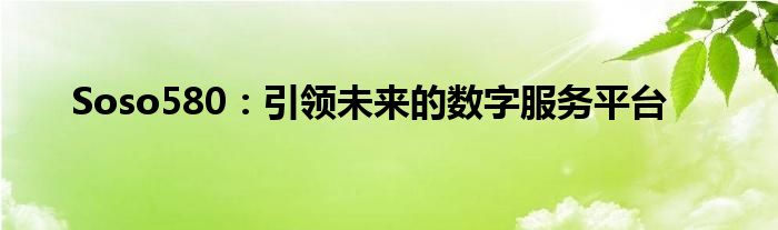 Soso580：引领未来的数字服务平台