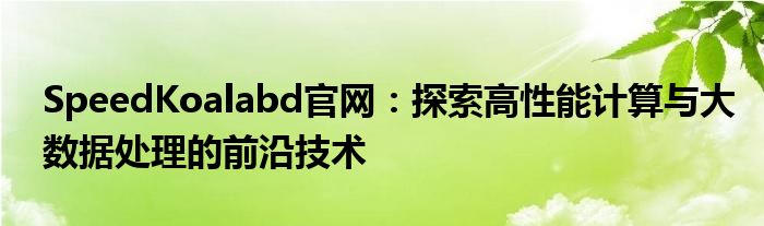 SpeedKoalabd官网：探索高性能计算与大数据处理的前沿技术