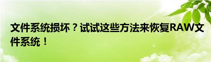 文件系统损坏？试试这些方法来恢复RAW文件系统！