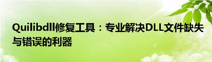 Quilibdll修复工具：专业解决DLL文件缺失与错误的利器