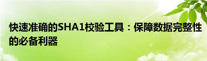 快速准确的SHA1校验工具：保障数据完整性的必备利器