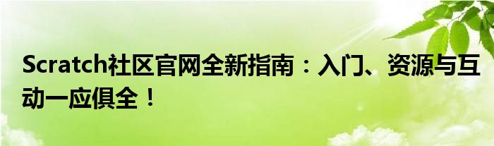 Scratch社区官网全新指南：入门、资源与互动一应俱全！