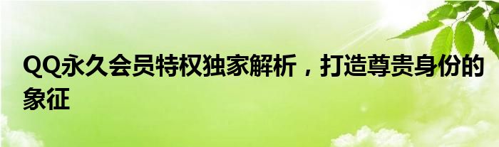 QQ永久会员特权独家解析，打造尊贵身份的象征