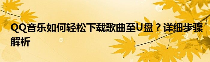 QQ音乐如何轻松下载歌曲至U盘？详细步骤解析