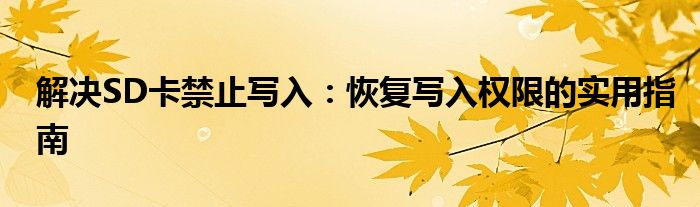 解决SD卡禁止写入：恢复写入权限的实用指南