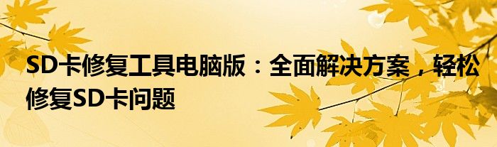 SD卡修复工具电脑版：全面解决方案，轻松修复SD卡问题