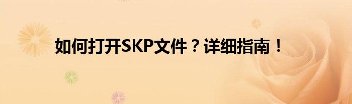 如何打开SKP文件？详细指南！