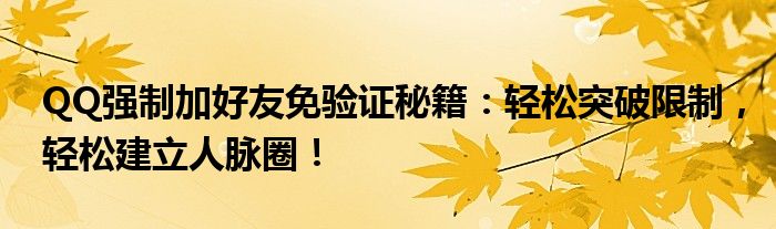 QQ强制加好友免验证秘籍：轻松突破限制，轻松建立人脉圈！