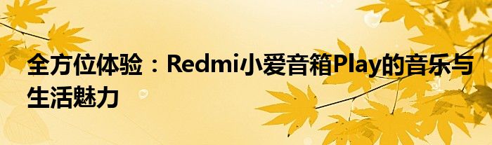 全方位体验：Redmi小爱音箱Play的音乐与生活魅力