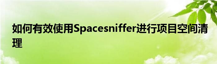 如何有效使用Spacesniffer进行项目空间清理