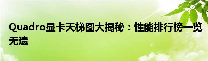 Quadro显卡天梯图大揭秘：性能排行榜一览无遗