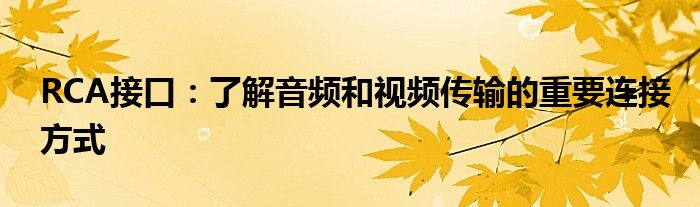 RCA接口：了解音频和视频传输的重要连接方式