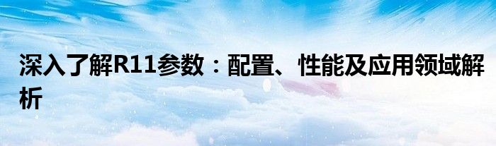 深入了解R11参数：配置、性能及应用领域解析