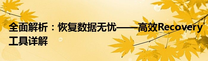 全面解析：恢复数据无忧——高效Recovery工具详解