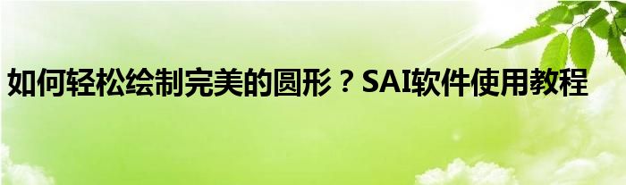 如何轻松绘制完美的圆形？SAI软件使用教程