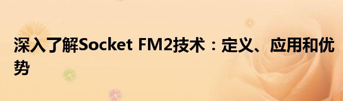 深入了解Socket FM2技术：定义、应用和优势