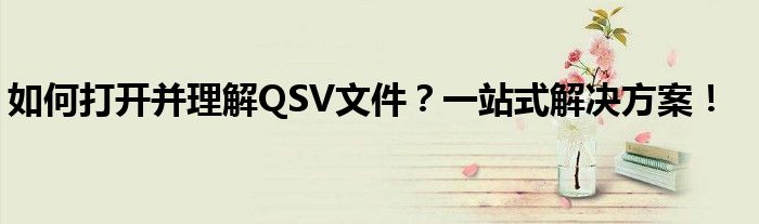 如何打开并理解QSV文件？一站式解决方案！