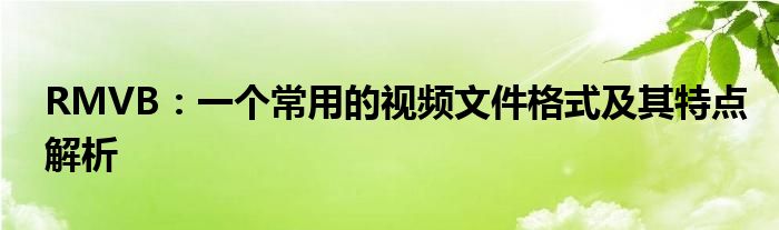 RMVB：一个常用的视频文件格式及其特点解析