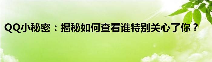 QQ小秘密：揭秘如何查看谁特别关心了你？