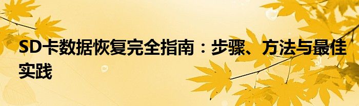 SD卡数据恢复完全指南：步骤、方法与最佳实践