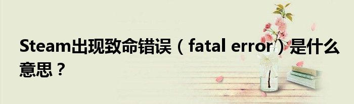 Steam出现致命错误（fatal error）是什么意思？