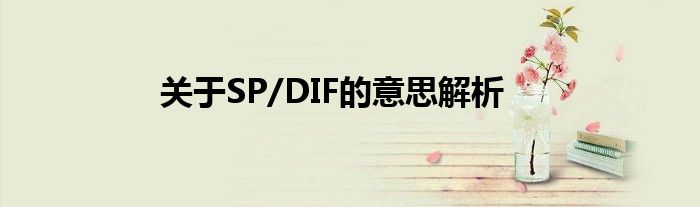 关于SP/DIF的意思解析