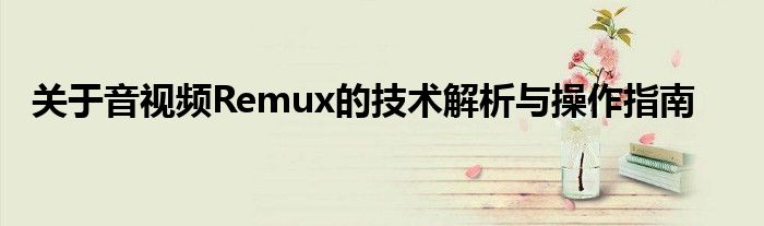 关于音视频Remux的技术解析与操作指南