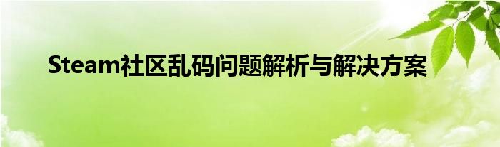 Steam社区乱码问题解析与解决方案