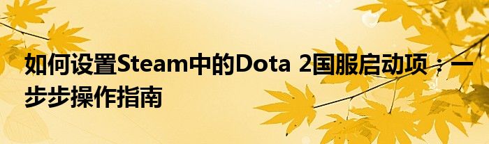 如何设置Steam中的Dota 2国服启动项：一步步操作指南