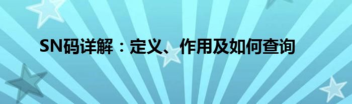 SN码详解：定义、作用及如何查询