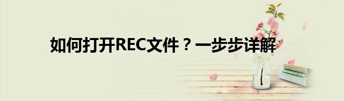 如何打开REC文件？一步步详解