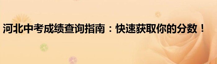 河北中考成绩查询指南：快速获取你的分数！