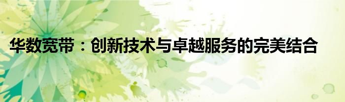 华数宽带：创新技术与卓越服务的完美结合