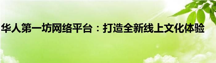 华人第一坊网络平台：打造全新线上文化体验