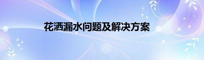 花洒漏水问题及解决方案