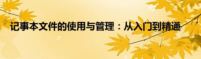 记事本文件的使用与管理：从入门到精通